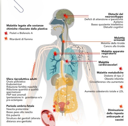 Report campagna nazionale di prevenzione dei danni alla salute da esposizione alla plastica